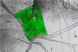 Terreno agricolo sulla via di Acerno- fronte strad