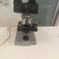 microscopio leizt