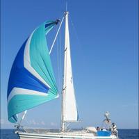 Contest 36s - winged keel