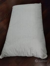 guanciale Bassetti 700g