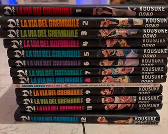 Manga La Via del Grembiule non completa