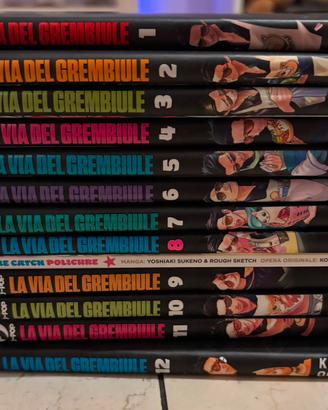 Manga La Via del Grembiule non completa