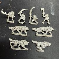 Warhammer fantasy marauder cavalcalupi goblin