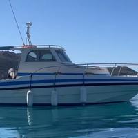 Rio fish 800