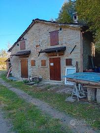 Immerso nel verde sull appenino tosco