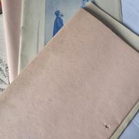 2 lotti di calendario e rivista 1954