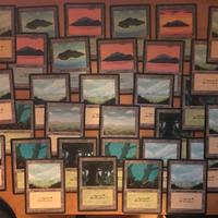 Carte MTG | Edizione FBB | Set Terre base