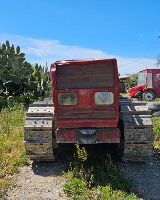 FIAT 665 CINGOLATO FRUTTETO