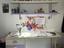 Immagine 2