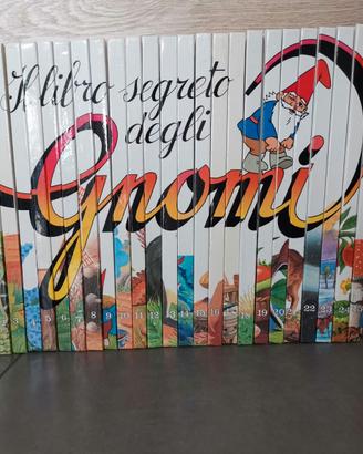 Il libro segreto degli Gnomi 25 volumi completo