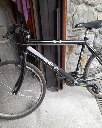 bicicletta