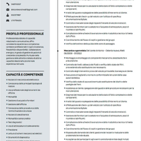 Gommista meccatronico