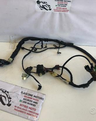 Impianto elettrico cablaggio honda cbf 500 04 07