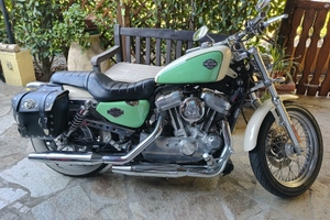 Perfetta Harley Davidson 883