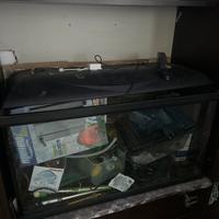 Acquari e attrezzi vari Lotto intero
