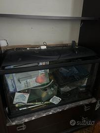 Acquari e attrezzi vari Lotto intero