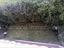 Immagine 18