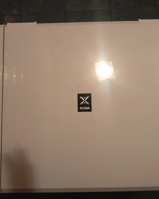 Stampante Canon MG3550