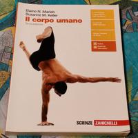 Marieb - Il corpo umano (terza edizione)