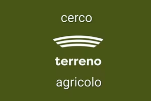  C e r c o Terreno su Taranto