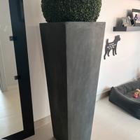 Vaso d’arredo grigio con siepe rotonda verde