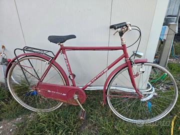 bicicletta Uomo new style