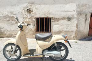 scarabeo 50 
