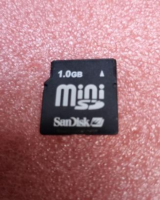 4337-Scheda Mini SD 1GB