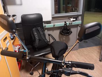 Bici elettrica 