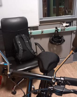 Bici elettrica 