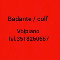 Colf , Badante a Volpiano (to)