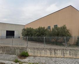 Capannone Industriale Cassino