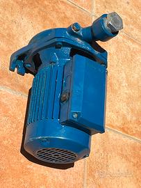 Pompa acqua calpeda