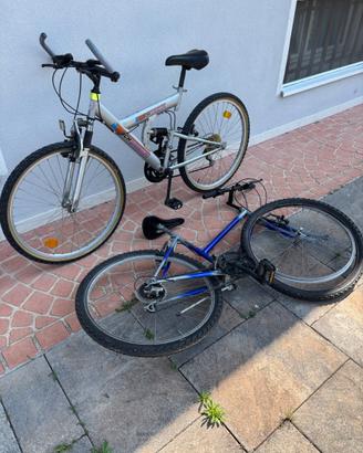 2 Biciclette