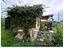 Immagine 21