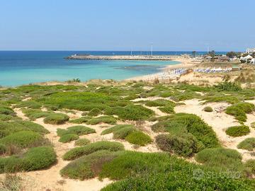 Super villa Campomarino del Salento