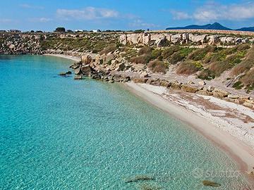 2 Monolocali 4 +2 pax a Cala Azzurra