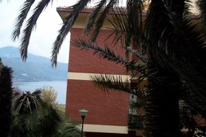 Esclusivo per estimatori di verde, blu e pace