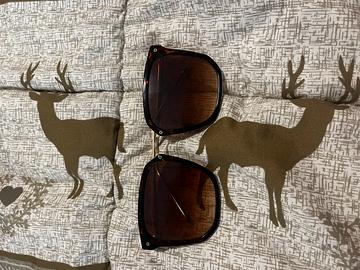 Occhiali da sole marroni con dettagli oro