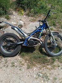 trial 125 