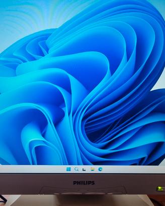 Monitor Philips 17 Pollici