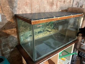 acquario 