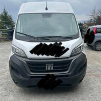 Fiat Ducato anno 2023