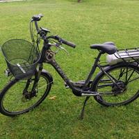 Bicicletta Elettrica a pedalata assistita