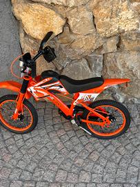 Bici da cross