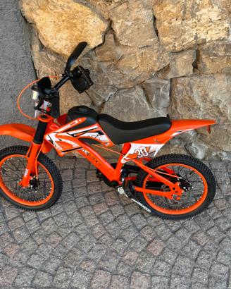 Bici da cross
