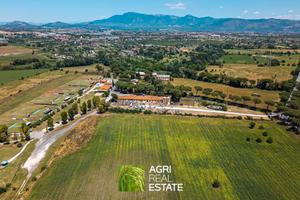 Terreno agricolo 90 HA con fabbricato 1.000 mq