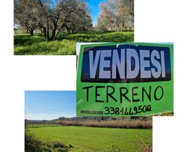 Vendesi terreno