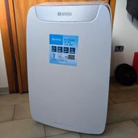 Olimpia Splendid Dolceclima 14 HP (garanzia)