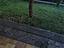 Immagine 14